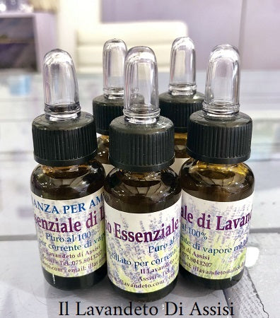 Olio essenziale di lavanda. Olio Puro di lavanda di Assisi. L'olio di lavanda essenziale è ottenuto per distillazione a corrente di vapore. L'olio di lavanda ha molteplici proprietà benefiche. La confezione comprende bottigliette di lavanda e due sacchetti con lavanda. Olio essenziale lavanda offerta. Olio essenziale lavanda prezzo, olio essenziale di lavanda offerta, offerta olio essenziale di lavanda. sconto su olio essenziale di lavanda