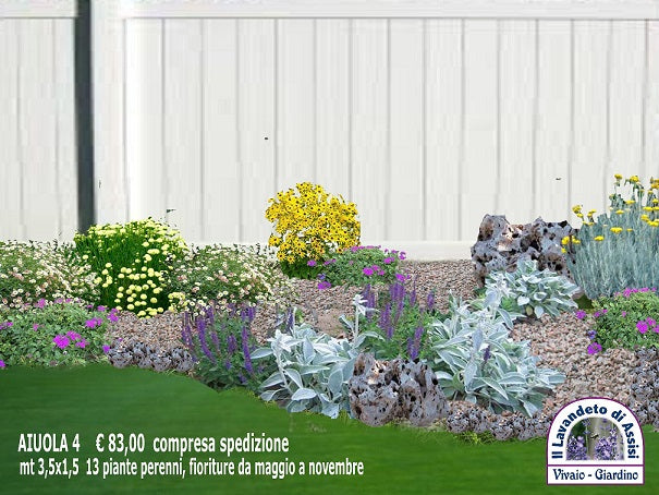 aiuola con sassi e piante, aiuola con sassi dai da te, giardino con sassi e piante, giardino roccioso. aiuola giardino roccioso, aiuola con piante perenni, progetti giardino gratuiti, progetti gratuiti giardino, aiuola con santolina, aiuola con elicriso, aiuola con verbena pulchella aiuole con sassi e piante perenni