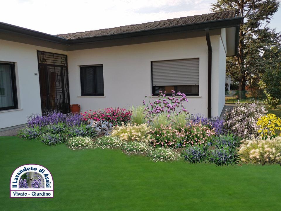 Progetti giardini gratis, progetti giardini, gratuiti, vivaio progetti giardini online, progetti giardini casa di campagna, come progettare giardini da soli, idee giardino da copiare,   progetti terrazzi,  progetti piccoli giardini privati , idee per aiuole al sole, idee per terrazzi con piante perenni a bassa manutenzione.  Immagini giardini, aiuole davanti casa, progetti giardini gratuiti, idee per aiuole davanti casa