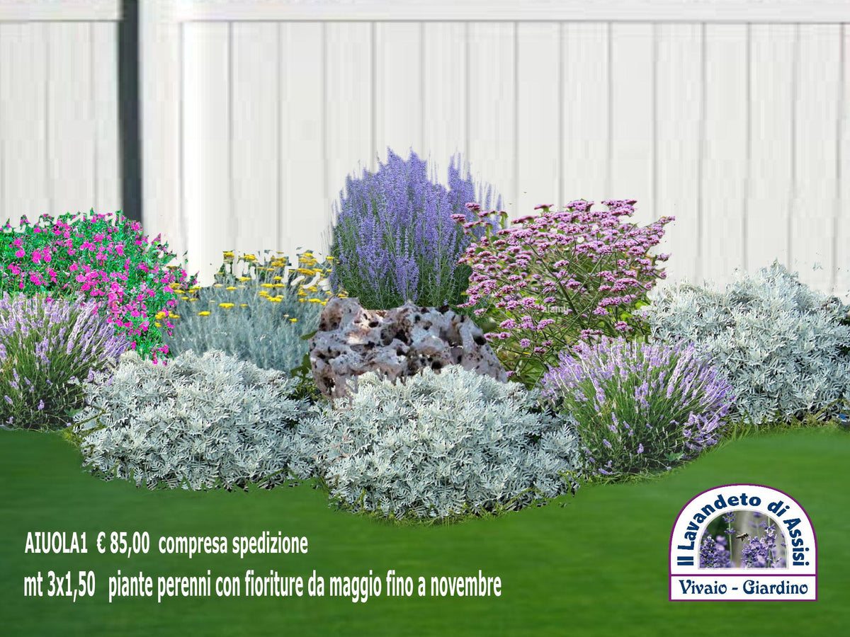 idee per aiuole, come realizzare una piccola aiuola, piante perenni per aiuole, progetti giardini gratis, progettazione giardino e aiuole, aiuole fai da te, aiuole immagini da copiare, aiuole economiche fai da te, aiuole fai da te immagini, aiuole fai da te con pietre. vendita piante online,