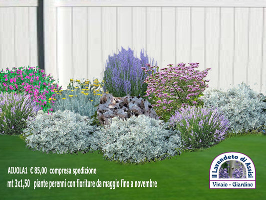 idee per aiuole, come realizzare una piccola aiuola, piante perenni per aiuole, progetti giardini gratis, progettazione giardino e aiuole, aiuole fai da te, aiuole immagini da copiare, aiuole economiche fai da te, aiuole fai da te immagini, aiuole fai da te con pietre. vendita piante online,