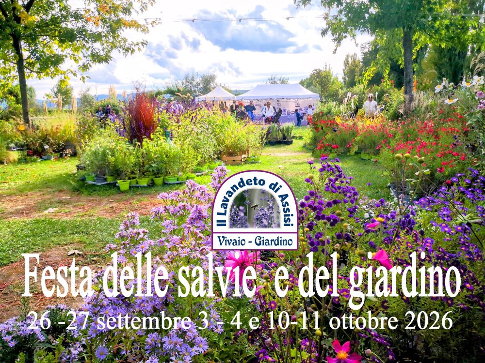 eventi in Umbria settembre, eventi in Umbria ottobre, eventi Perugia settembre, eventi Perugia ottobre, eventi in Umbria per bambini e famiglie, eventi Assisi, eventi in Umbria sulle zucche