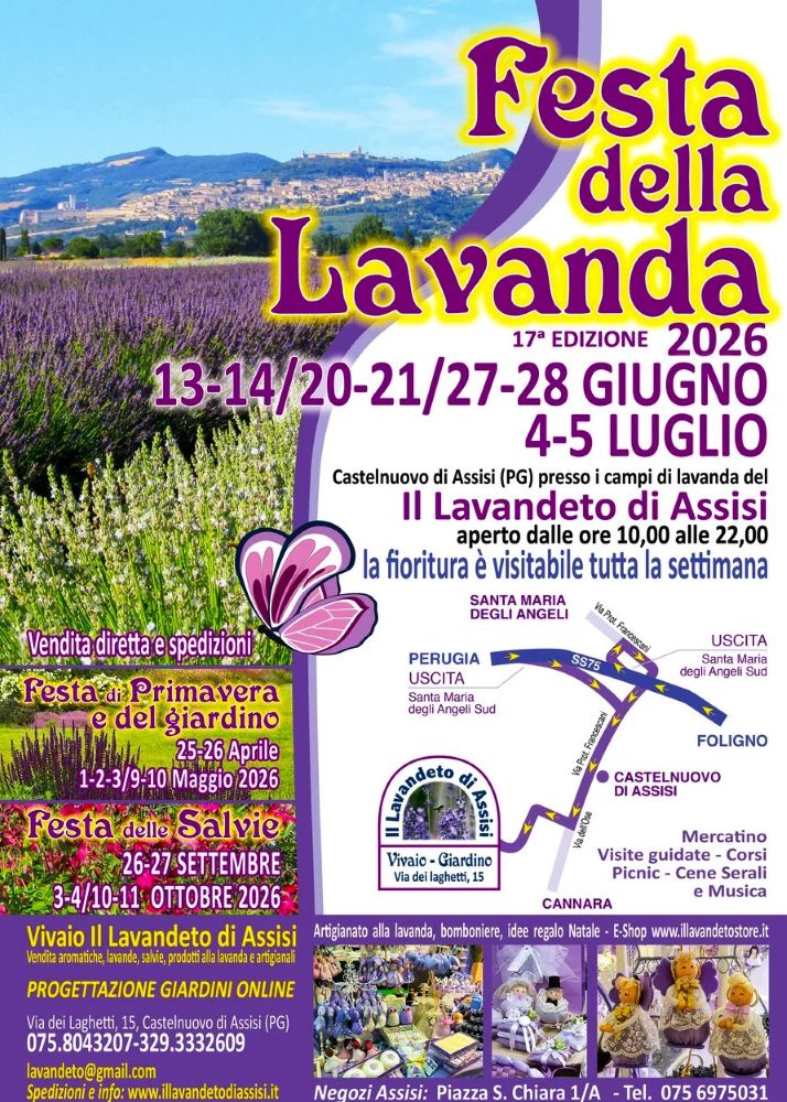 Picnic sulla lavanda, organizzare feste di compleanno, dove organizzare cerimonie Umbria, area eventi e feste Perugia, compleanno in giardino Perugia, compleanno in un campo di lavanda,