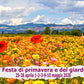 Eventi Assisi, eventi Perugia, eventi in Umbria, eventi Aprile, eventi maggio, eventi Assisi aprile, eventi Assisi Maggio, eventi in Umbria aprile, eventi in Umbria maggio