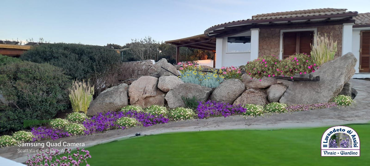 Online garden projects