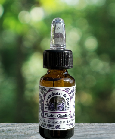 olio essenziale di lavanda, olio essenziale lavanda, olio essenziale di lavanda grosso', vendita olio essenziale di lavanda online, olio essenziale di lavanda naturale, olio essenziale vendita. Vendita olio essenziale di lavanda, olio essenziale lavanda ibrida, olio essenziale lavanda italiana, oli essenziali italiani, olio essenziale sui polsi, olio essenziale per mal di testa, produttori oli essenziali Italia, olio essenziale lavanda puro