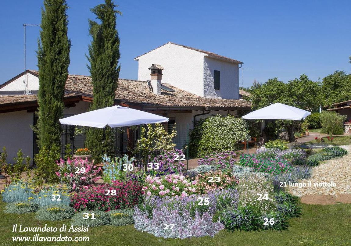 progetti giardini online, progetti gratuiti giardini, vivaio vendita piante online, progettazioni giardini, rendering giardino, come realizzare un' aiuola, progettazione giardini online,