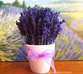 bomboniera lavanda, vasetto di lavanda, fiori di lavanda secchi, composizione di lavanda, idee regalo Natale, idee regalo lavanda