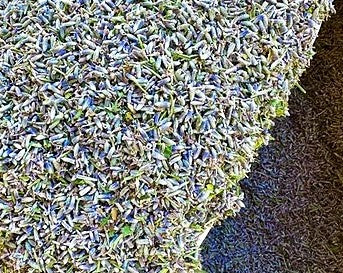 lavanda essiccata offerta, lavanda essiccata profumata, lavanda secca vendita, lavanda sfusa vendita, lavanda più profumata, lavanda per sacchetti profumati