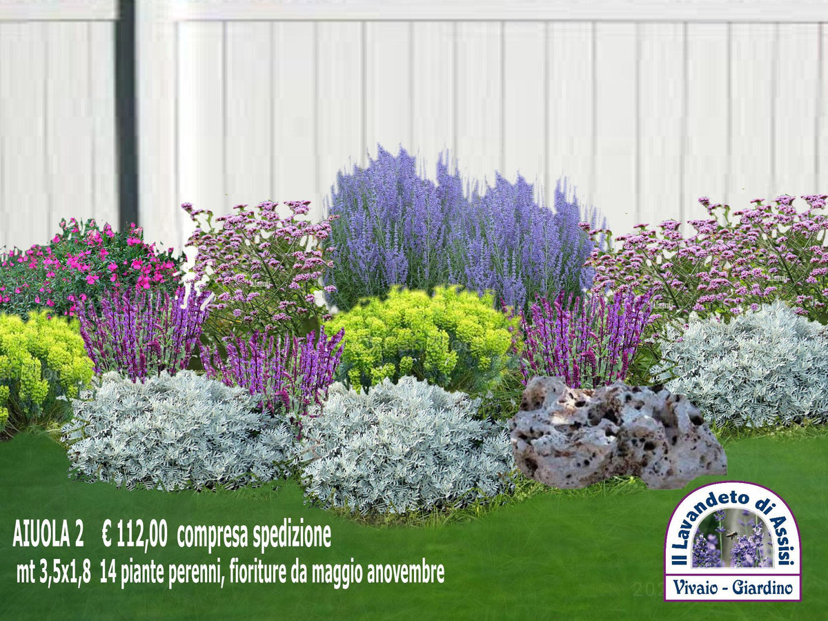idee per aiuole giardino, idee per creare piccoli giardini. idee per aiuole, progettare un aiuola, progettare un' aiuola con piante perenni, realizzare un' aiuola a bassa manutenzione, aiuole con lavande, aiuole con perovskia, aiuole con verbene, piccoli giardini davanti casa progetti piccoli giardini privati, vendita piante online